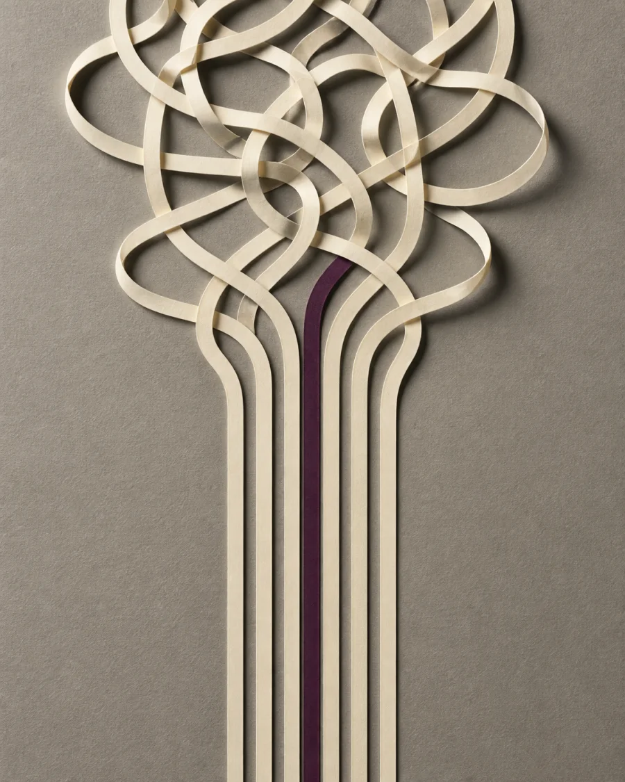 Tangled ribbons resolving into ordered parallel lines, with a single aubergine strand running through the middle.